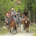 Horse Riding in Miami's Countryside - Horse Riding in Miamis Countryside: A Scenic Escape for Beginners and Experienced Riders