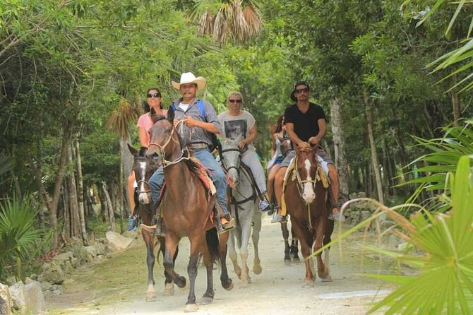 Horse Riding in Miami's Countryside - Horse Riding in Miamis Countryside: A Scenic Escape for Beginners and Experienced Riders