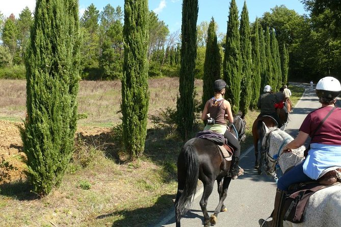 Horse Riding in Tuscany for Experienced Riders: Full-day Trail Ride - Starting Point in Montieri and Meeting Details