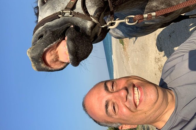 Horse riding on the Beach, Rhodes - What Makes the Rhodes Beach Horseback Ride Special