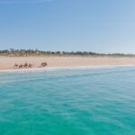 Horse Riding on the Beach with private transfer from Lisbon - Expert Guides and Friendly Service