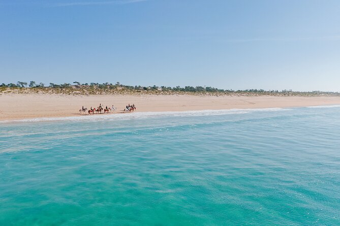 Horse Riding on the Beach with private transfer from Lisbon - Expert Guides and Friendly Service