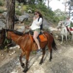 Horse Riding Tour in Bodrum with Hotel Pick Up - Exploring Bodrum’s Hidden Countryside