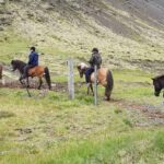 Horse Riding Tour in Reykjadalur (Smoky Valley)-All Riding Levels - Equine Companions: Icelandic Horses on the Trail