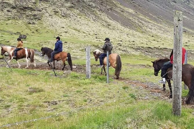 Horse Riding Tour in Reykjadalur (Smoky Valley)-All Riding Levels - Equine Companions: Icelandic Horses on the Trail