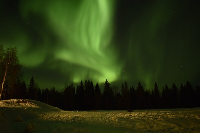 Horse Sleigh Ride Under The Night Sky in Apukka Resort, Rovaniemi - Crossing Frozen Lakes Under the Arctic Sky