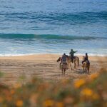 Horseback Adventures - The Route: From Playa Migrino to Desert and Ocean Views