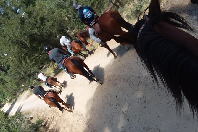 Horseback Ride for 2 or more - The Horses’ Care and Rescue Background
