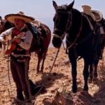 Horseback Ride in Guanajuato with Live Music and Food - Gentle Horses and Family-Friendly Riding