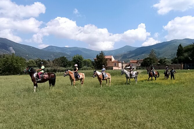 Horseback riding and aperitif 2 hours for beginners - The Learning Ground: Basic Commands and Horse Management