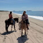 Horseback riding and Temazcal combo with lunch and mezcal - Starting Point and Tour Logistics in Mazatlán