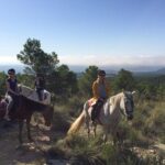 Horseback riding and wine tour (private tour) - Starting Point and Accessibility in Valencia