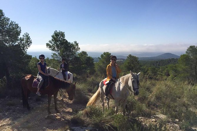 Horseback riding and wine tour (private tour) - Starting Point and Accessibility in Valencia