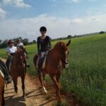 Horseback riding around Doñana - Choosing Your Spanish Horse and Personalized Guidance