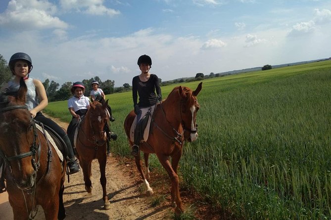 Horseback riding around Doñana - Choosing Your Spanish Horse and Personalized Guidance