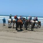 Horseback Riding at Stone Island on the Beach - What to Expect During the Horseback Ride