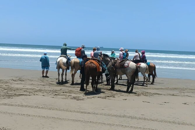 Horseback Riding at Stone Island on the Beach - What to Expect During the Horseback Ride