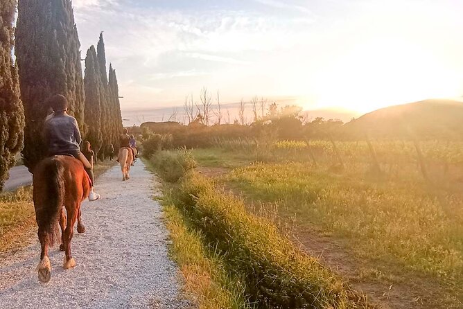 Horseback riding at sunset 1 hour at the Certosa di Pisa - The Meeting Point at La Cartuja Equestrian Center