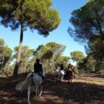 Horseback Riding Experience in Aljarafe, Doñana park from Seville - Practical Details and Booking Insights