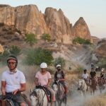 Horseback Riding Experience in Beautiful Valleys of Cappadocia - The Horses and Animal Welfare