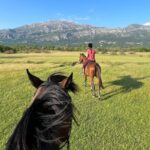 Horseback Riding Experience with transport from Dubrovnik - Well-Cared-For Horses and Warm Hospitality