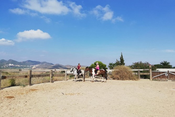 Horseback Riding in Cartagena (Spain) - Expert Guides Who Make the Experience Special