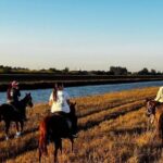 Horseback Riding in Miami - The Guided Experience and Basic Riding Instructions