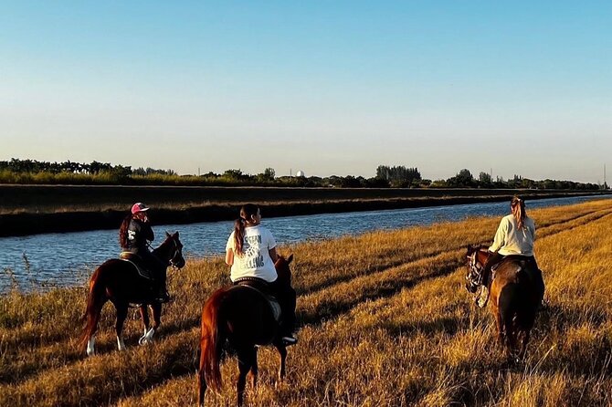 Horseback Riding in Miami - The Guided Experience and Basic Riding Instructions