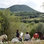 Horseback Riding in Randa Valleys, Mallorca, Spain - Starting Point and Hotel Pickup in Palma