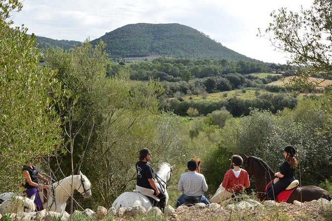 Horseback Riding in Randa Valleys, Mallorca, Spain - Starting Point and Hotel Pickup in Palma