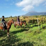 Horseback Riding on Vesuvius - The Scenic Route in Vesuvius Park