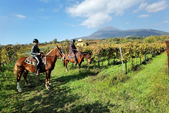 Horseback Riding on Vesuvius - The Scenic Route in Vesuvius Park