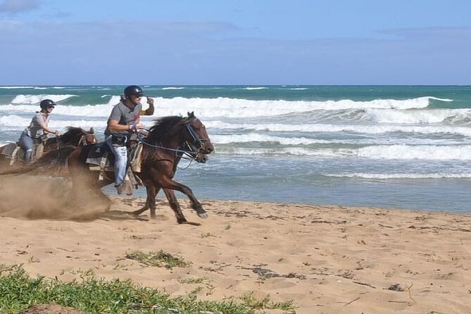 Horseback Riding to Maimon River from Punta Cana - Meeting Point and Transportation from Punta Cana Hotels