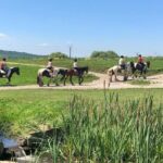 Horseback Riding Tour In Brasov - Ride Through Fields, Forests & Hills - Starting Point and Convenience of Hotel Pickup