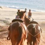 Horseback Riding Tour in Cabo San Lucas - Riding Along the Pacific Coast: Beaches and Cliffs