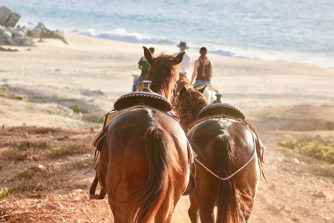Horseback Riding Tour in Cabo San Lucas - Riding Along the Pacific Coast: Beaches and Cliffs