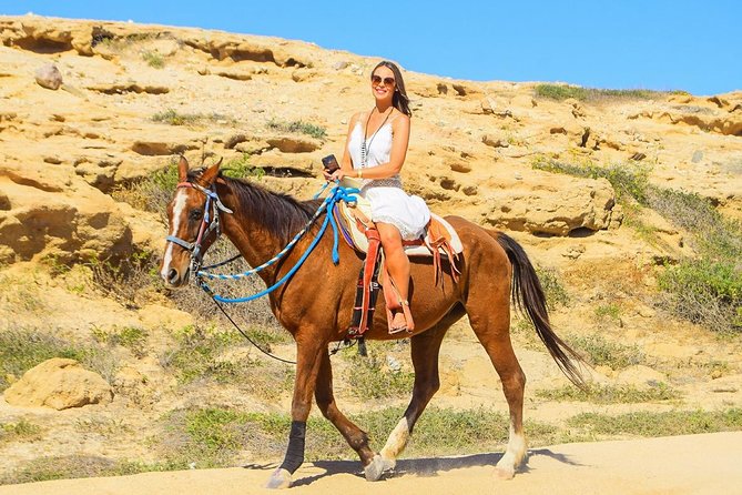 Horseback Riding Tour in Los Cabos - The Horses and Guides: Well-Cared-For Animals and Expert Leadership