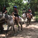 Horseback riding with ATV, zip lines and cenote, lunch and transfer - Zip Line Adventure: Flying Over the Jungle Canopy