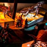 Houston: 1-Day or 3-Day Museum Pass - How the Pass Enhances Your Museum Day