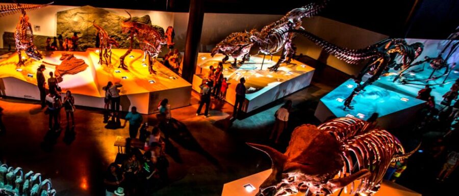 Houston: 1-Day or 3-Day Museum Pass - How the Pass Enhances Your Museum Day