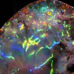 Houston: Museum of Natural Science Entry & Digital Tour - How the Digital Tour Enhances Museum Exploration