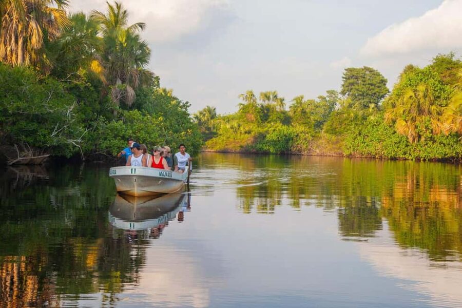 Huatulco Ecotour: Explore La Ventanilla, Mazunte & Zipolite - La Ventanilla Ecological Reserve: A Natural Sanctuary