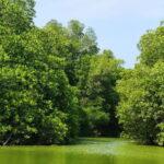 Huatulco: Laguna de Chacahua Exploration - Starting Point and Transportation Logistics in Huatulco