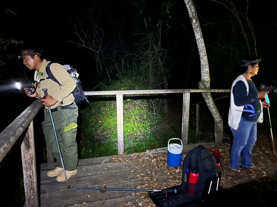 Huatulco: Nighttime sea turtle monitoring guided by a biologist - How the Tour Connects You with Oaxaca’s Nature at Night