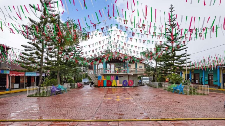 Huatulco: Pluma Hidalgo Coffee Origin and Essence. - Starting Point and Transportation Logistics in Tangolunda