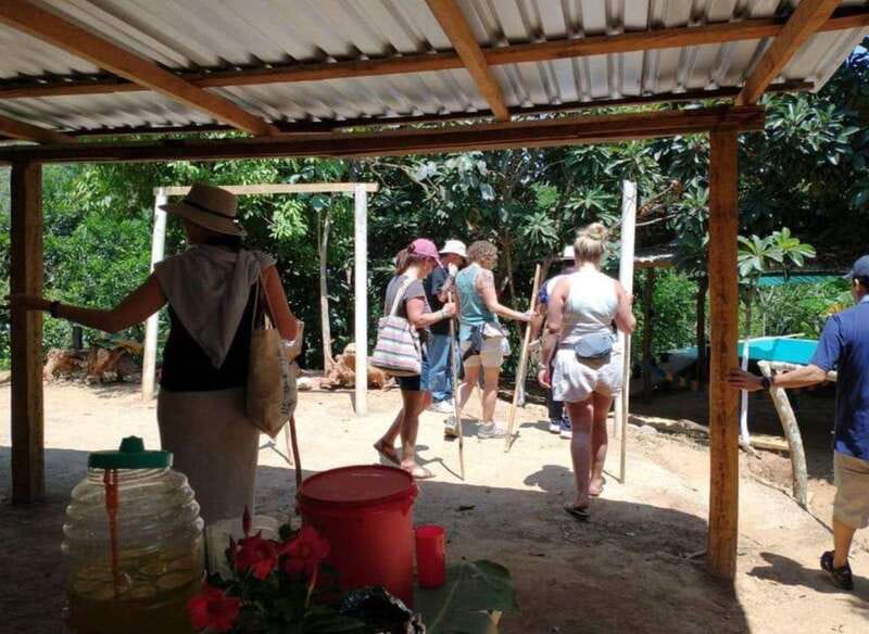 Huatulco: Private Coffee and Fruit Ranch Experience - Visiting a Coffee Plantation Near Huatulco