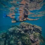 Huatulco: Snorkel at sunrise at La Entrega beach - Snorkeling at La Entrega Beach: Crystal Waters and Colorful Reefs