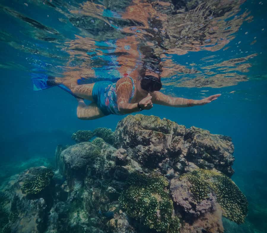 Huatulco: Snorkel at sunrise at La Entrega beach - Snorkeling at La Entrega Beach: Crystal Waters and Colorful Reefs