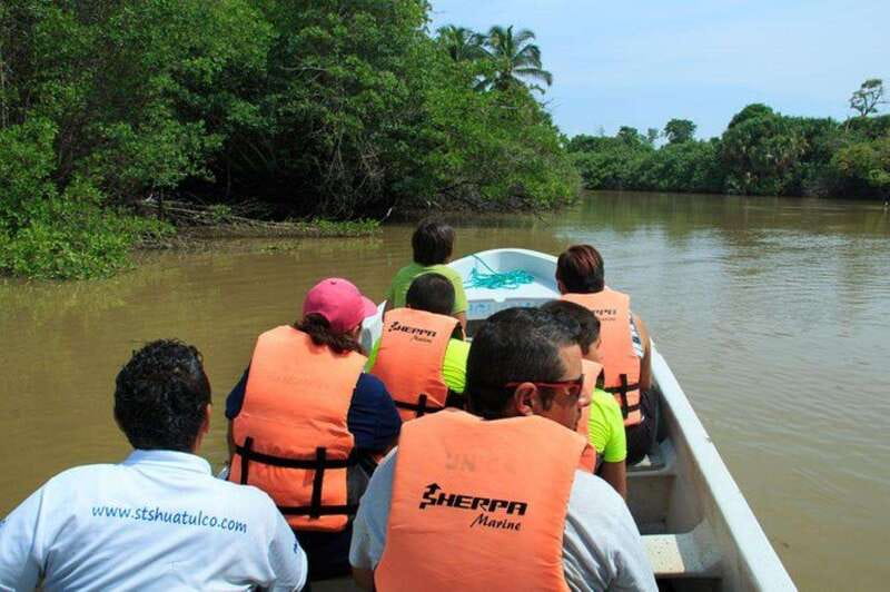 Huatulco: Turtles & Crocs Experience - Exploring La Ventanilla Lagoon and Its Natural Habitat