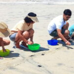 Huatulco:Turtle release,horseback riding and bioluminescence - The Significance of Visiting La Escobilla Ecotourism Center and Turtle Camp